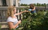 Sharing the Fruits of Labor