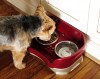 Neater Feeder Pet Dish System