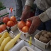 Farmers Market Season