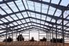 Companies break ground for Pig Adventure at Fair Oaks Farms
