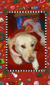 Annie's holiday