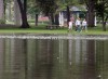 Hammond looks to 'wow' with Harrison Park improvements
