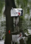 River Flooding Mississippi