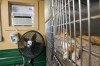 Air conditioners bring relief to animal shelter