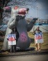 Teamsters Local 705 on strike