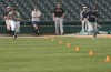 RailCats open tryouts