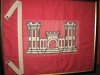 113th Engineer's Battalion flag