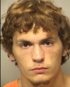 Man accused of stealing snakes