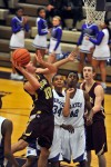 Chesterton's Cole Teal