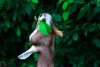 Company loans out animals to eat away at overgrowth in hard to reach places