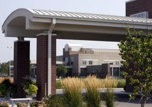 Best Orthopedic