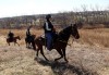0331_mehta_search_12