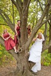 Stephanie Wallace Photography