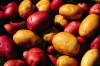 The Potato Lady