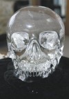 Region man owns skull guiding Indiana Jones film  