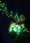 Lights on for Griswold Tour