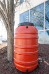 Rain Barrel