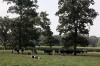 The drought's domino effect may eventually decrease dairy production