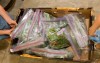 Fay Family Package and Box Vegetables to Transport to Valparaiso's Food Pantry