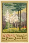 'Spring at The Indiana Dunes'