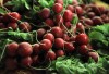 FORK IN THE ROAD: Local residents in food deserts yearn for greater access to fresh food