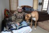 122712-fea-dogs