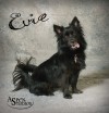 Evie