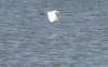 Grand Calumet River getting grand cleanup