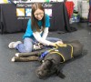 Shelters, rescue agencies kick-start animal adoptions at event