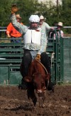 Windy City Rodeo