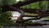 Outages across region as storms roll through