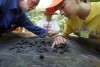 Volunteers, students finishing up project at Collier Lodge