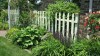A walk in the garden