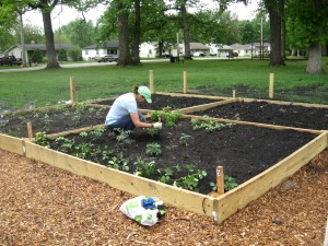 Hobart's 'green initiative' part of a growing trend
