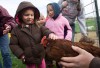 Farm hands