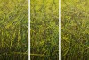 South Shore Arts presents paintings by Chicago artist