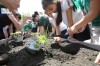Nathan Hale Elementary students plant teaching garden