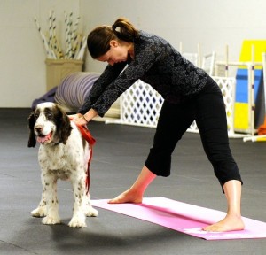 Humans and their canine friends relax with Doga