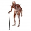 "Elder with cane"