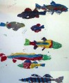  Gyotaku Prints going to the highest bidder