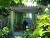 A walk in the garden