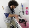 Rescued puppies groomed for new homes