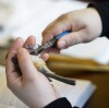 Bird banding program at Indiana Dunes helps scientists track avians