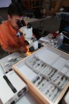 Scientists, students converge on Newton County for bioblitz