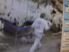 Lansing police seek theft suspect