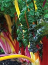 Every heirloom vegetable