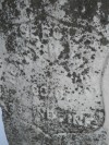Henry Wise's old headstone inscription