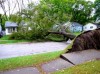 Winds knock out power to 600