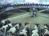 Fair Oaks Farms educates and entertains visitors