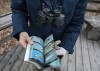 Christmas bird count volunteers try to identify species, numbers of birds